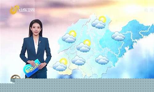 山东各地市天气预报_山东省各地天气预报