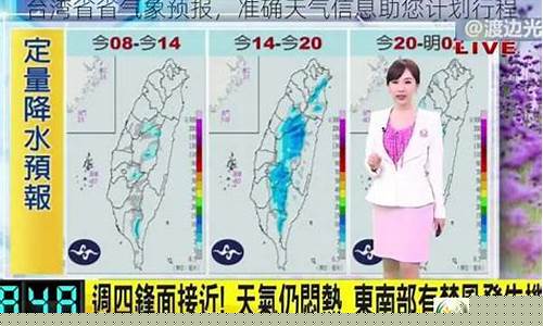 台湾台南市天气_台湾台南天气预报15天查询结果