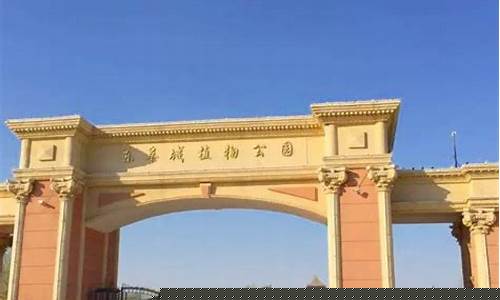 河北阜城天气预报40天查询_阜城40天最新天气预报