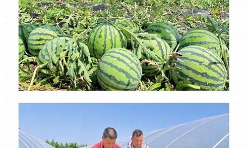 邳州天气预报_邳州天气预报15天天气预报
