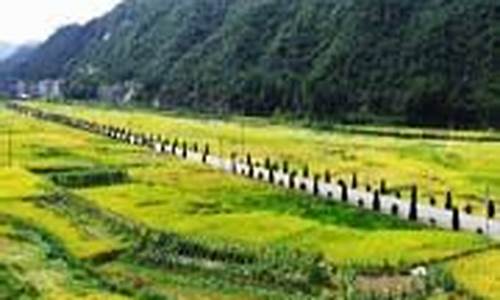福建寿宁天气预报_福建寿宁天气预报7天查询