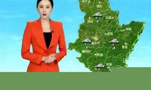 衡水武邑天气预报一周7天查询_衡水武邑天气预报