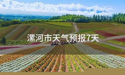 漯河天气预报15天查询一_漯河天气预报15天30天