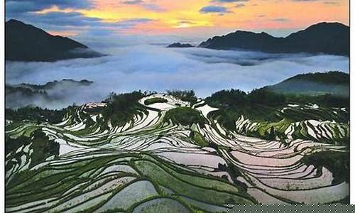 丽水天气预报一周7天_丽水天气预报一周7天查询结果